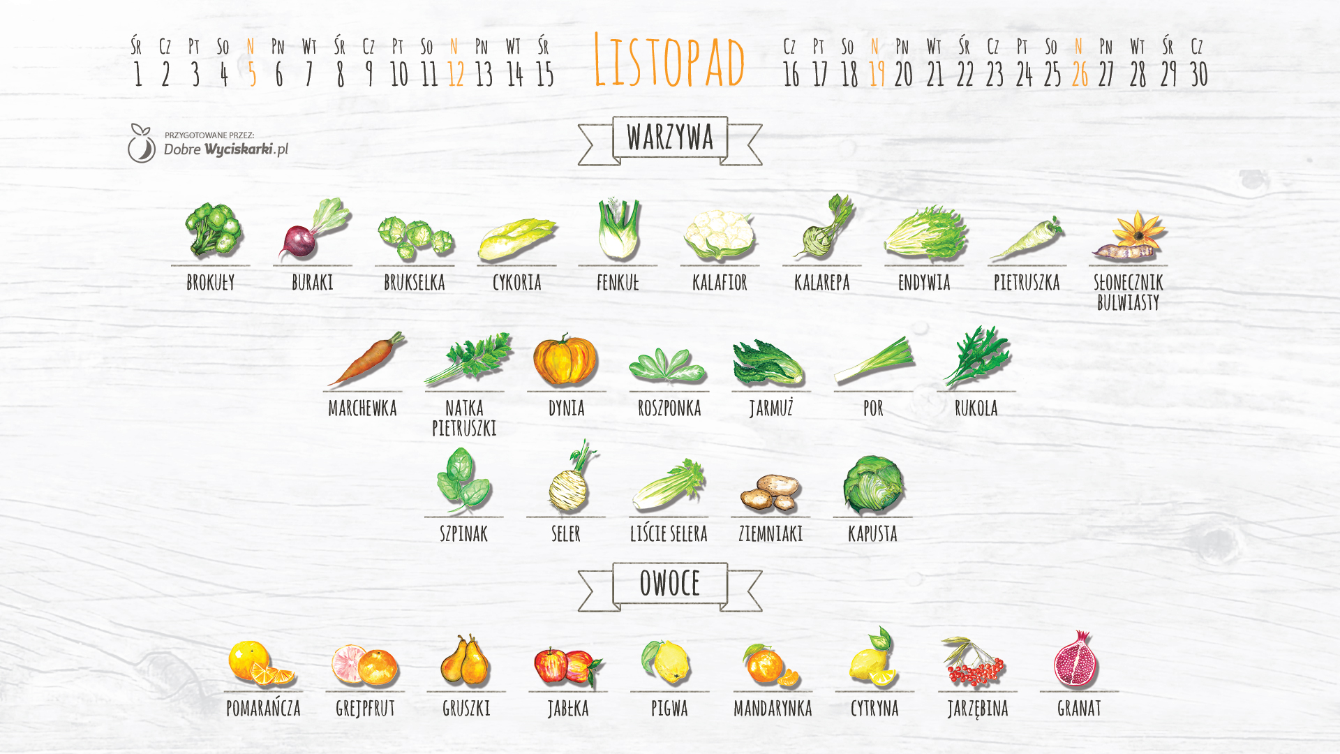 11_kalendarz_warzyw_listopad_v1
