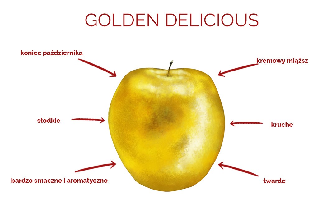 golden-delicious