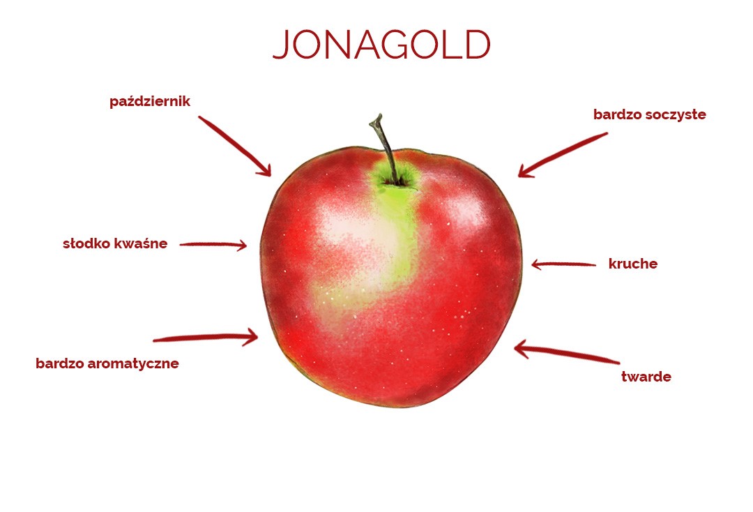 jonagold