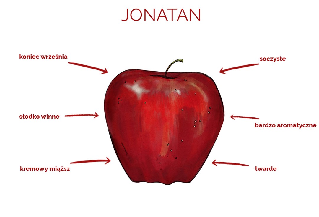 jonatan