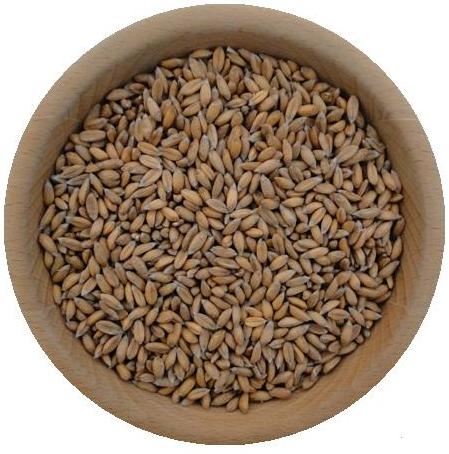 Bio Orkisz ekologiczny