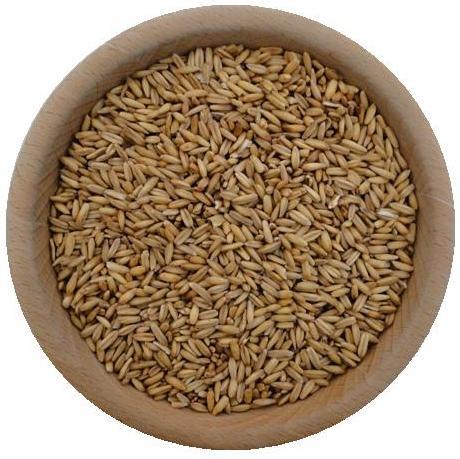 Bio owies bezłuskowy ekologiczny