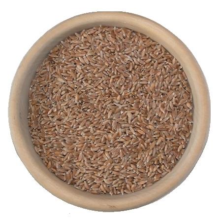 Bio płaskurka ekologiczna