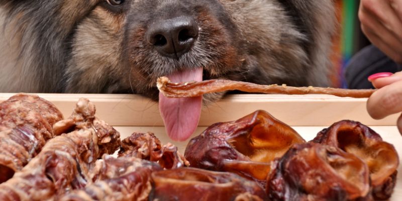 przekaski-dla-psa-z-dehydratora